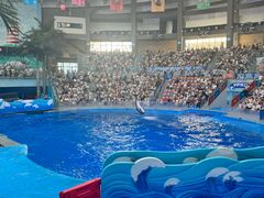 -海合安成都极地海洋公园