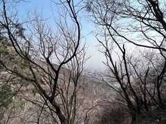 -阳台山自然风景区