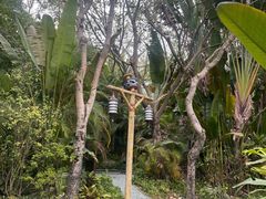 -碧桂园润杨溪谷温泉酒店