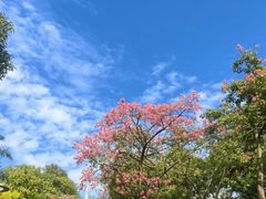 -海心沙亚运公园