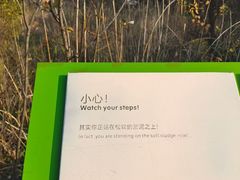 -西湖风景区-江洋畈生态公园
