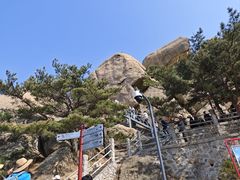 -崂山仰口游览区
