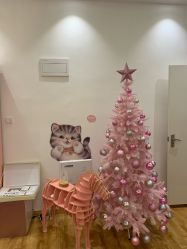 -Lab Season惜辰颜究社