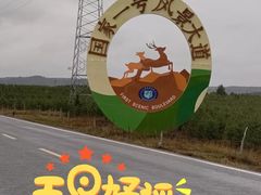 -塞罕坝国家级自然保护区