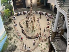 -辽宁古生物博物馆