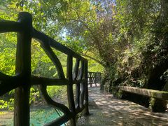 -石台牯牛降景区