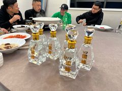 -丁老爷子苏香圆
