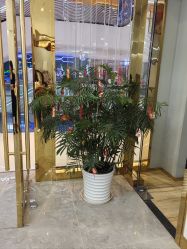 -CICI纤美·科技减肥美容