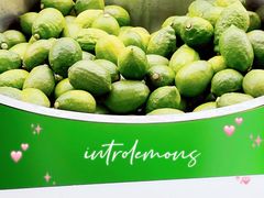 -introlemons(北京西单更新场店)