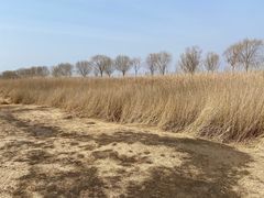 -野鸭湖国家湿地公园