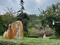 -广州白江湖森林公园