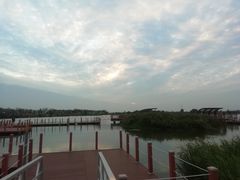 -芒洲湿地公园