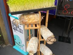 -大院小院传统火锅·小酒馆(北城天街店)