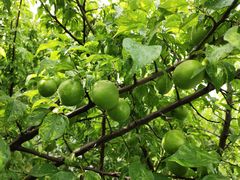 -狼山风景名胜区