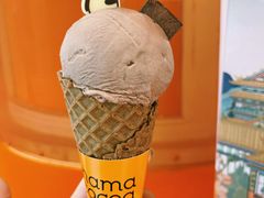 榛子巧克力冰淇淋-nama cocoa 纳摩可可(朝阳大悦城店)