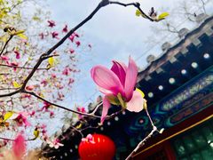 -潭柘寺景区