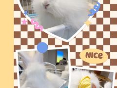 -怪兽屋·羊驼·猫咖·狗咖(俊华广场店)