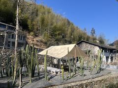 -MOJ coffee(瓯海泽雅水碓坑店)