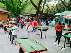 -晓港公园