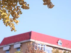 -西清公园
