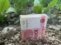 -钱塘江