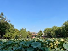 -莲池书院博物馆