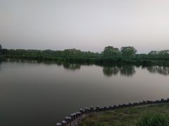 -大兴滨河森林公园