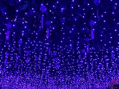 -济南方特东方神画