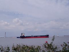 -上海滨江森林公园