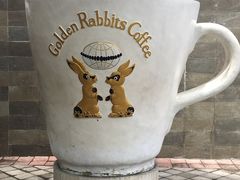 -巴厘岛黄金金兔咖啡工厂