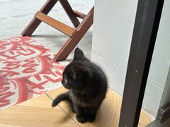 -骨茶巷