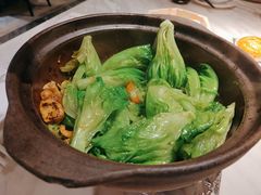 啫啫生菜煲-陶陶居·雅园(凯华国际店)
