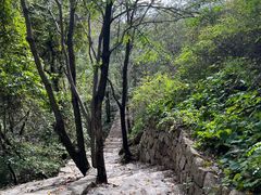 -大岭沟猕猴桃谷风景区