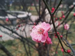 -山东大学(趵突泉校区)