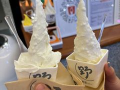 -野人先生Gelato(上海长宁龙之梦店)