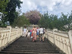 -四川省成都市彭州市白鹿镇