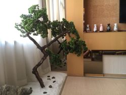 -JNK皮肤管理中心