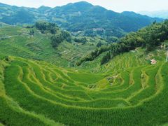 -紫鹊界梯田景区