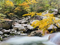 -青峰峡国家森林公园