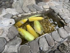 -宜春明月山维景国际温泉度假酒店