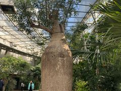 -北京植物园-展览温室