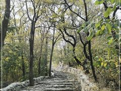 -阳台山自然风景区