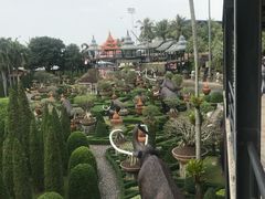 -东芭乐园
