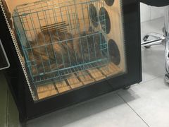 -四月宠物医院·猫专科·心脏专科·内科(转塘店)