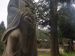 -武陵山森林公园