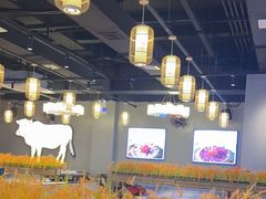 -小肥牛潮汕牛肉火锅(南联店)