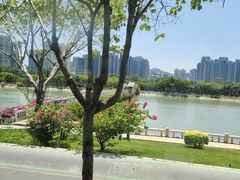 -白鹭洲公园
