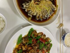 -煲来饱去冷水鱼