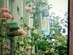 -玉林生活广场