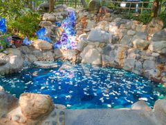 -湖泉半山温泉(湖泉生态园)